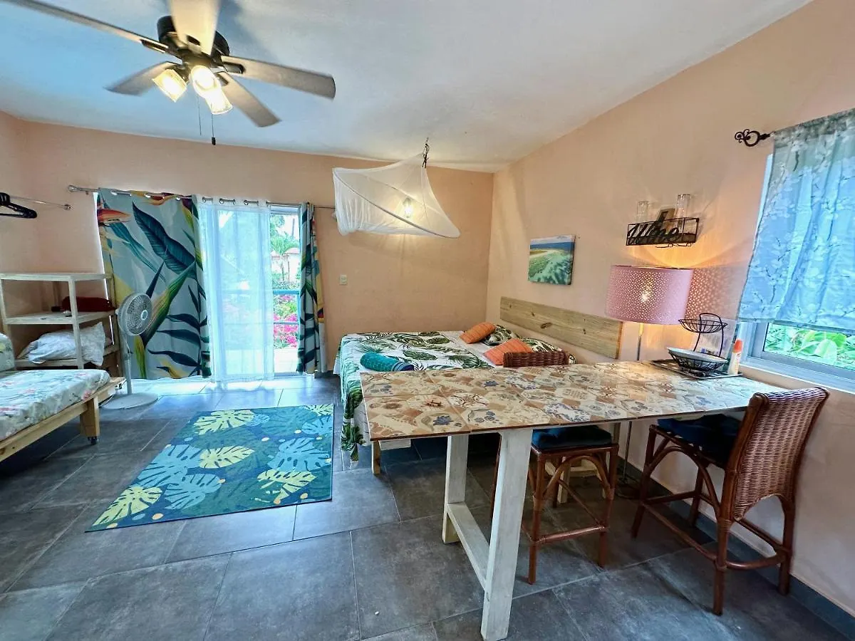 Cabarete Boutique Kite Hotel For Up To 15 People 펜션
