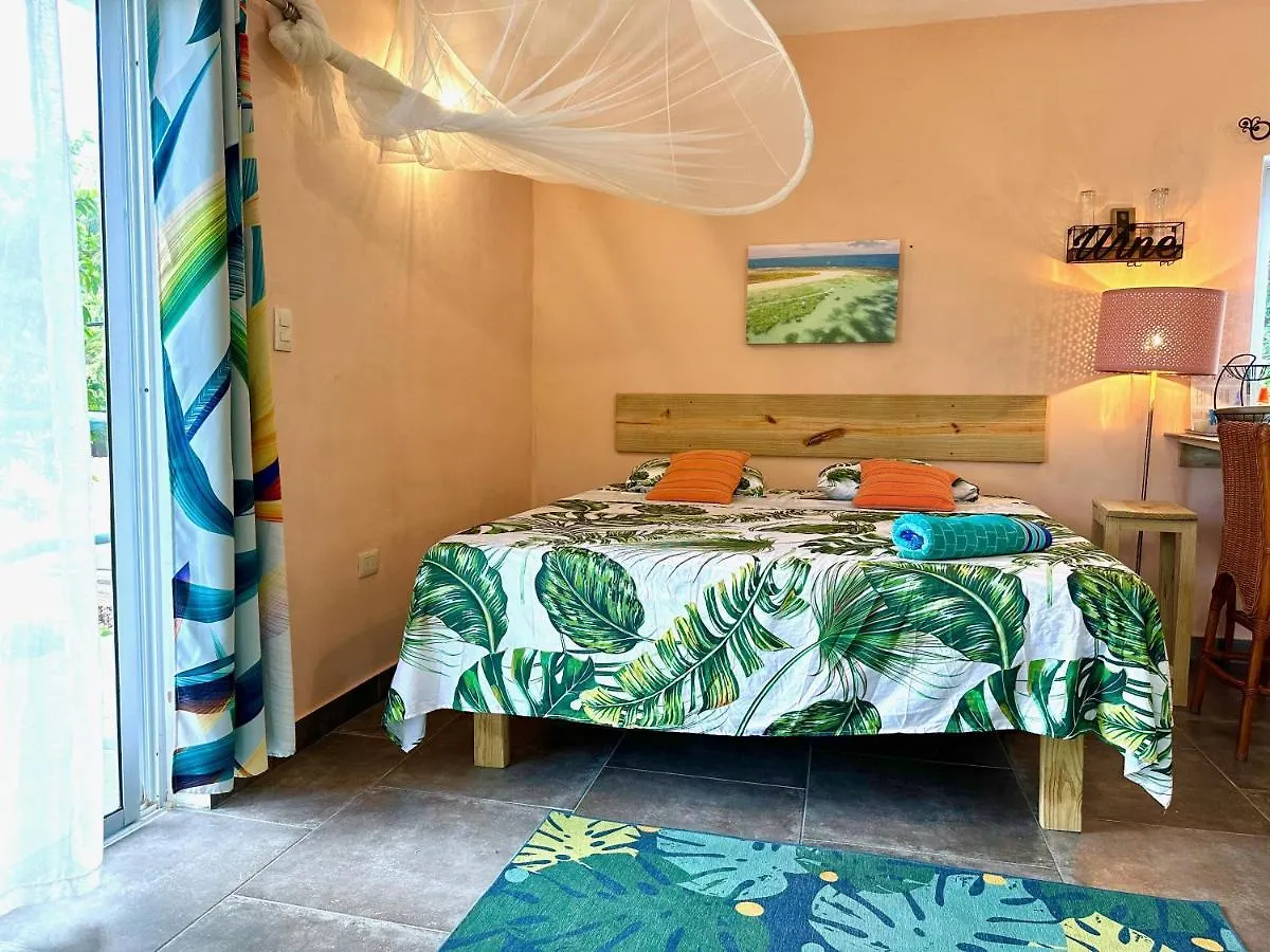 Cabarete Boutique Kite Hotel For Up To 15 People 0*,  도미니카 공화국