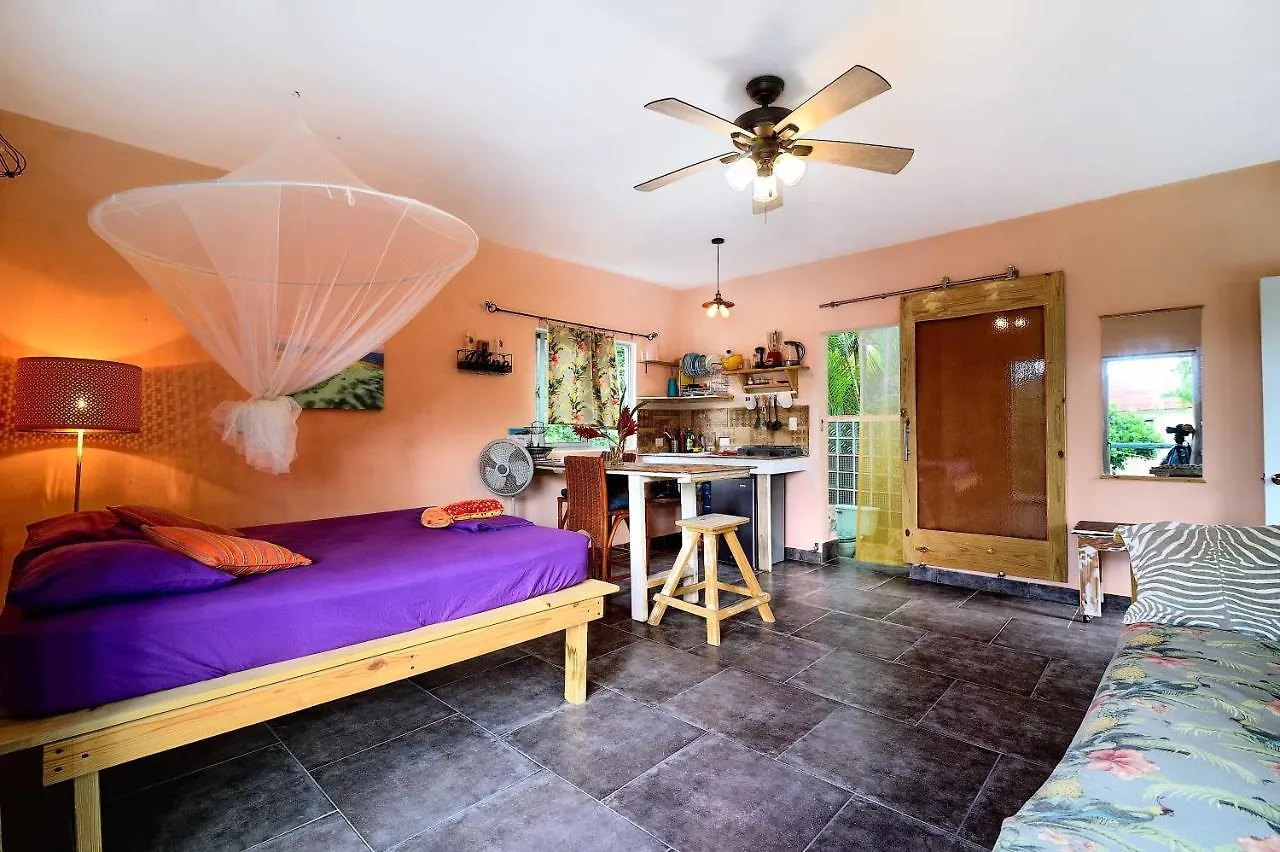 Cabarete Boutique Kite Hotel For Up To 15 People 도미니카 공화국