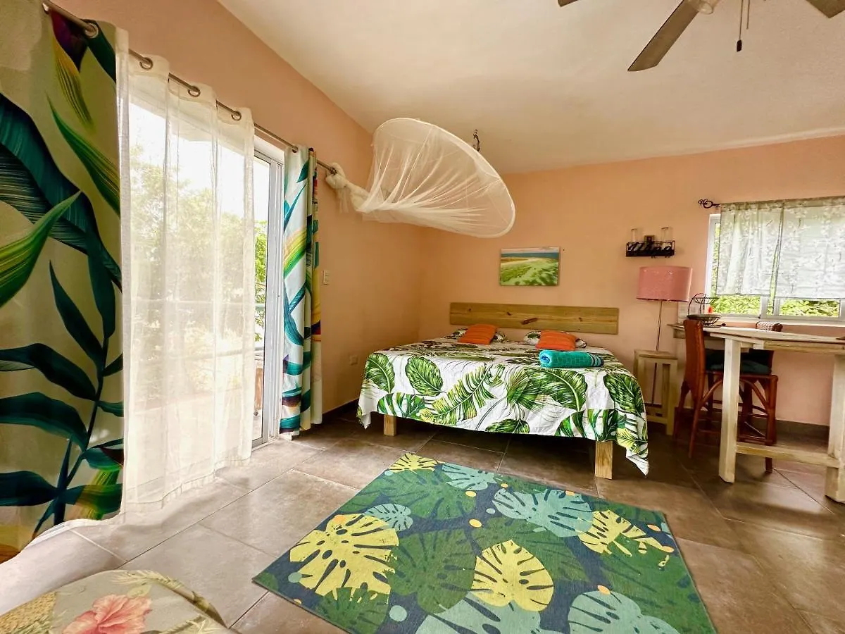 Cabarete Boutique Kite Hotel For Up To 15 People 펜션