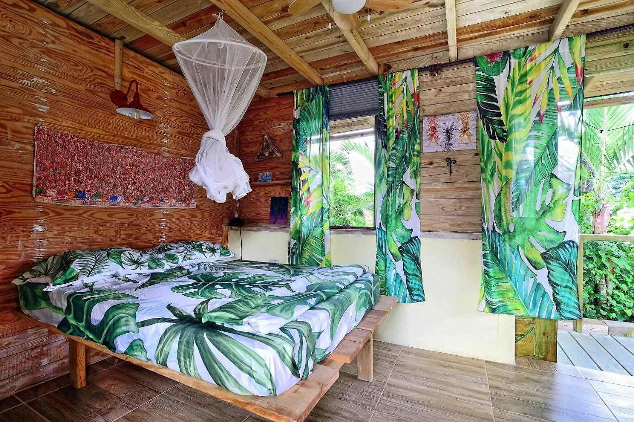 Cabarete Boutique Kite Hotel For Up To 15 People 펜션