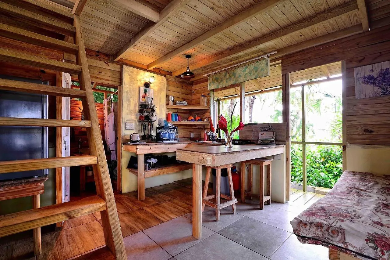 펜션 Cabarete Boutique Kite Hotel For Up To 15 People 도미니카 공화국